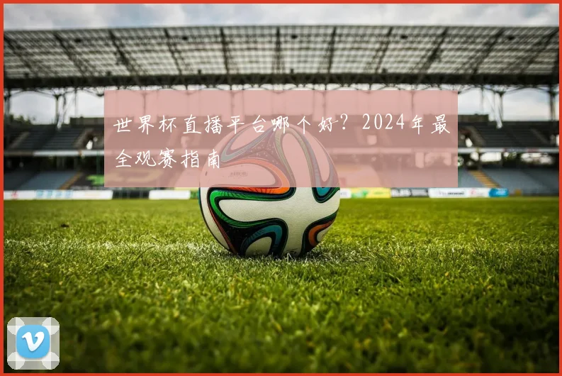 世界杯直播平台哪个好?2024年最全观赛指南